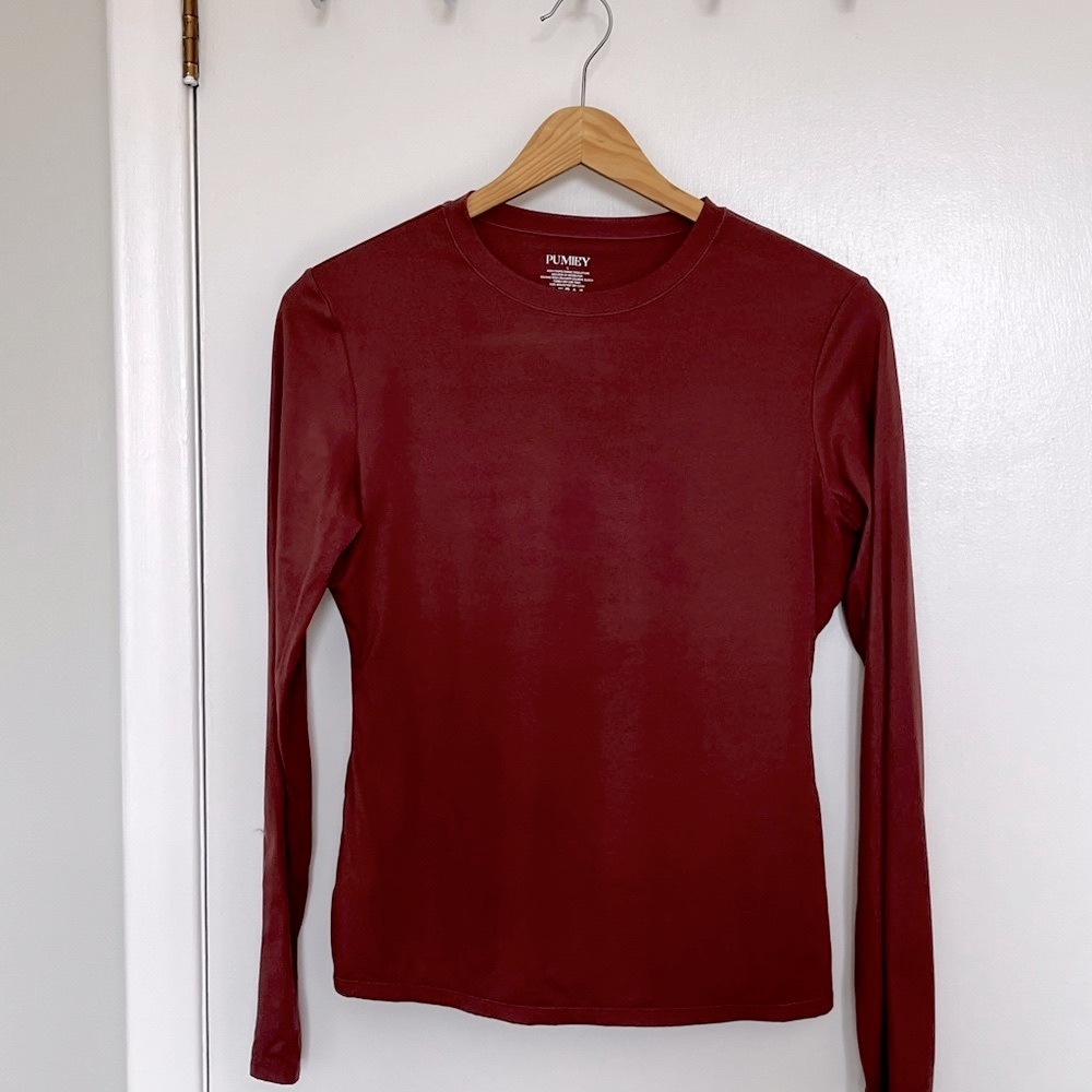 Pumiey Terracotta Long Sleeve Top